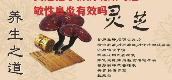 灵芝孢子粉的功效对过敏性鼻炎有效吗-第1张图片-超越 灵芝孢子粉的功效对过敏性鼻炎有效吗-第1张图片-超越