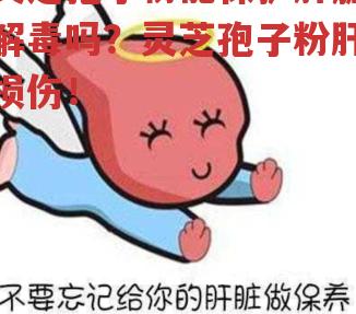 灵芝孢子粉能保护肝脏解毒吗？灵芝孢子粉肝损伤！-第2张图片-超越