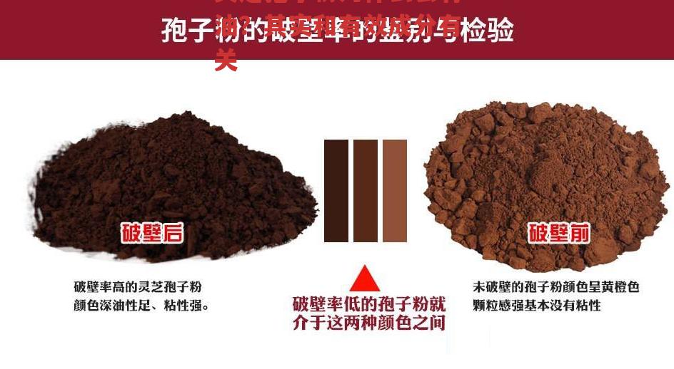 灵芝孢子粉为什么会有油?其实和有效成分有关-第1张图片-超越 灵芝孢子粉为什么会有油?其实和有效成分有关-第1张图片-超越