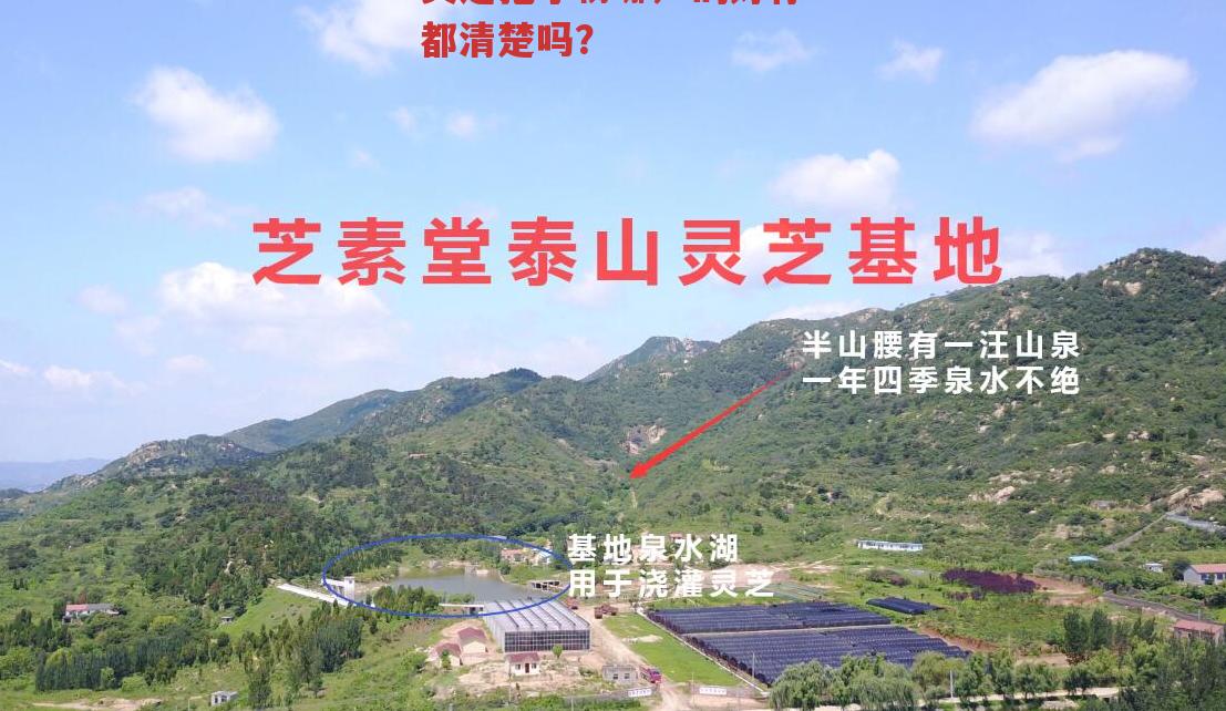 灵芝孢子粉哪产的好你都清楚吗?-第2张图片-超越 灵芝孢子粉哪产的好你都清楚吗?-第2张图片-超越