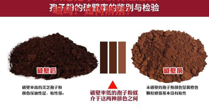 灵芝孢子粉没有油还能喝吗?如何辨别?-第1张图片-超越 灵芝孢子粉没有油还能喝吗?如何辨别?-第1张图片-超越