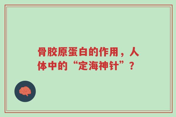 骨胶原蛋白的作用,人体中的“定海神针”?-第1张图片-超越 骨胶原蛋白的作用,人体中的“定海神针”?-第1张图片-超越