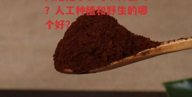 灵芝孢子粉可以种植吗？人工种植和野生的哪个好？-第1张图片-超越