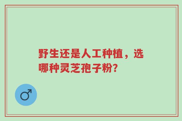 野生还是人工种植，选哪种灵芝孢子粉？-第1张图片-超越
