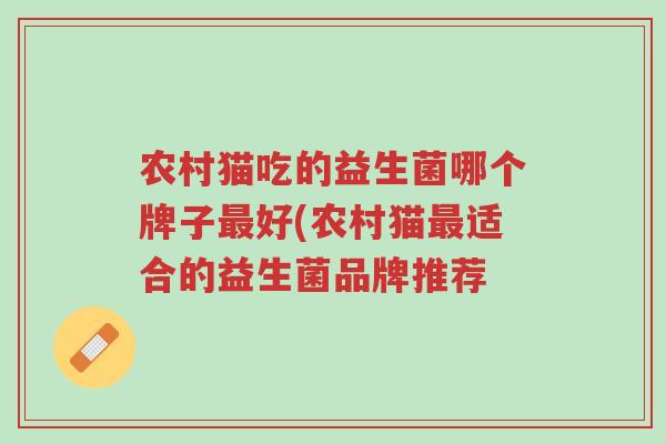 农村猫吃的益生菌哪个牌子最好(农村猫最适合的益生菌品牌推荐-第1张图片-超越