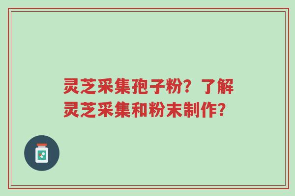 灵芝采集孢子粉?了解灵芝采集和粉末制作?-第1张图片-超越 灵芝采集孢子粉?了解灵芝采集和粉末制作?-第1张图片-超越
