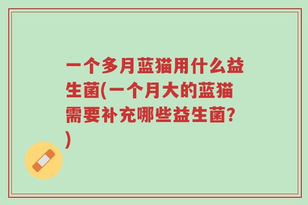 一个多月蓝猫用什么益生菌(一个月大的蓝猫需要补充哪些益生菌?)-第1张图片-超越 一个多月蓝猫用什么益生菌(一个月大的蓝猫需要补充哪些益生菌?)-第1张图片-超越