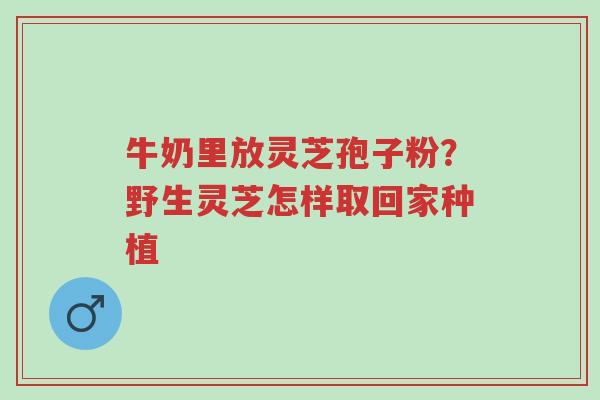 牛奶里放灵芝孢子粉?野生灵芝怎样取回家种植-第1张图片-超越 牛奶里放灵芝孢子粉?野生灵芝怎样取回家种植-第1张图片-超越