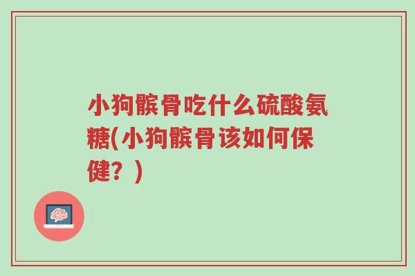 小狗髌骨吃什么硫酸氨糖(小狗髌骨该如何保健?)-第1张图片-超越 小狗髌骨吃什么硫酸氨糖(小狗髌骨该如何保健?)-第1张图片-超越