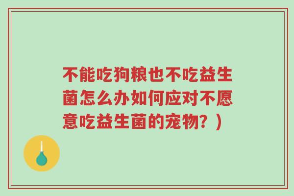 不能吃狗粮也不吃益生菌怎么办如何应对不愿意吃益生菌的宠物?)-第1张图片-超越 不能吃狗粮也不吃益生菌怎么办如何应对不愿意吃益生菌的宠物?)-第1张图片-超越