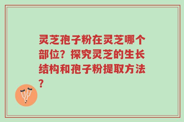 灵芝孢子粉在灵芝哪个部位?探究灵芝的生长结构和孢子粉提取方法?-第1张图片-超越 灵芝孢子粉在灵芝哪个部位?探究灵芝的生长结构和孢子粉提取方法?-第1张图片-超越