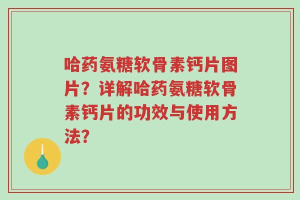 哈药氨糖软骨素钙片图片?详解哈药氨糖软骨素钙片的功效与使用方法?-第1张图片-超越 哈药氨糖软骨素钙片图片?详解哈药氨糖软骨素钙片的功效与使用方法?-第1张图片-超越