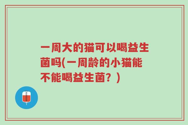 一周大的猫可以喝益生菌吗(一周龄的小猫能不能喝益生菌?)-第1张图片-超越 一周大的猫可以喝益生菌吗(一周龄的小猫能不能喝益生菌?)-第1张图片-超越