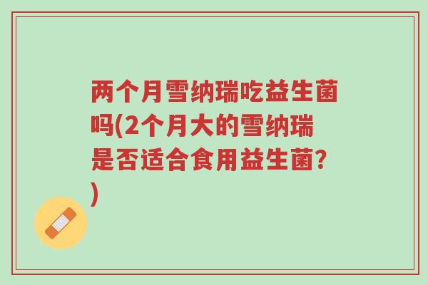 两个月雪纳瑞吃益生菌吗(2个月大的雪纳瑞是否适合食用益生菌?)-第1张图片-超越 两个月雪纳瑞吃益生菌吗(2个月大的雪纳瑞是否适合食用益生菌?)-第1张图片-超越