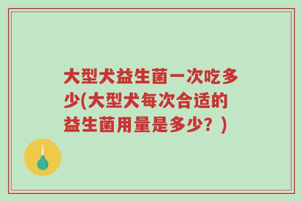 大型犬益生菌一次吃多少(大型犬每次合适的益生菌用量是多少?)-第1张图片-超越 大型犬益生菌一次吃多少(大型犬每次合适的益生菌用量是多少?)-第1张图片-超越