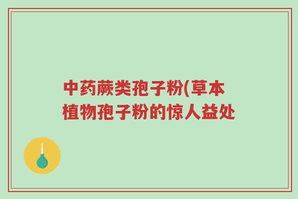 中药蕨类孢子粉(草本植物孢子粉的惊人益处-第1张图片-超越 中药蕨类孢子粉(草本植物孢子粉的惊人益处-第1张图片-超越