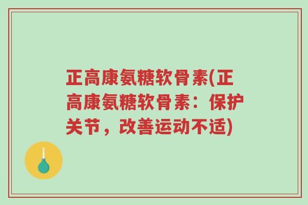 正高康氨糖软骨素(正高康氨糖软骨素:保护关节,改善运动不适)-第1张图片-超越 正高康氨糖软骨素(正高康氨糖软骨素:保护关节,改善运动不适)-第1张图片-超越