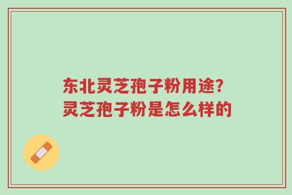东北灵芝孢子粉用途?灵芝孢子粉是怎么样的-第1张图片-超越 东北灵芝孢子粉用途?灵芝孢子粉是怎么样的-第1张图片-超越