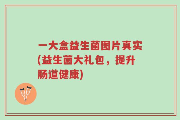 一大盒益生菌图片真实(益生菌大礼包，提升肠道健康)-第1张图片-超越