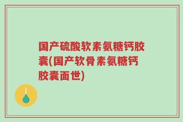 国产硫酸软素氨糖钙胶囊(国产软骨素氨糖钙胶囊面世)-第1张图片-超越 国产硫酸软素氨糖钙胶囊(国产软骨素氨糖钙胶囊面世)-第1张图片-超越