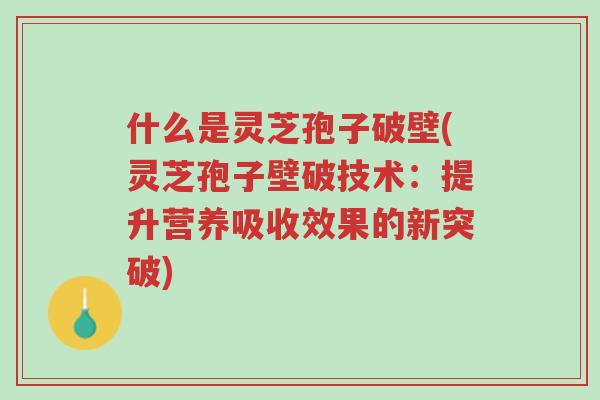 什么是灵芝孢子破壁(灵芝孢子壁破技术:提升营养吸收效果的新突破)-第1张图片-超越 什么是灵芝孢子破壁(灵芝孢子壁破技术:提升营养吸收效果的新突破)-第1张图片-超越