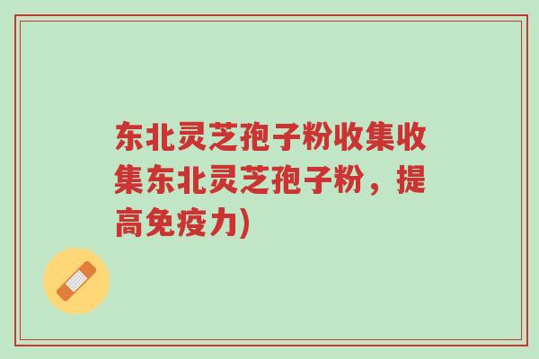 东北灵芝孢子粉收集收集东北灵芝孢子粉,提高免疫力)-第1张图片-超越 东北灵芝孢子粉收集收集东北灵芝孢子粉,提高免疫力)-第1张图片-超越