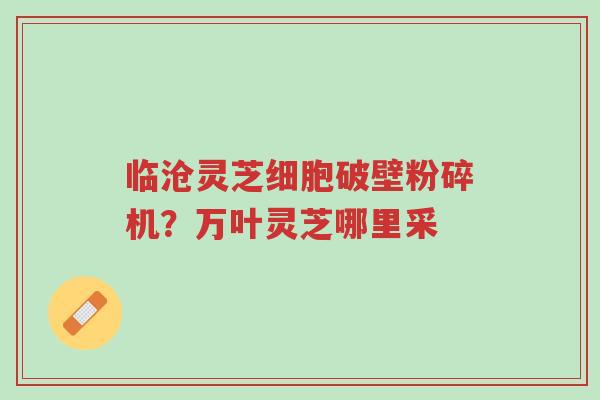 临沧灵芝细胞破壁粉碎机?万叶灵芝哪里采-第1张图片-超越 临沧灵芝细胞破壁粉碎机?万叶灵芝哪里采-第1张图片-超越