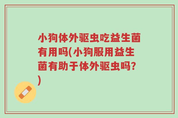 小狗体外驱虫吃益生菌有用吗(小狗服用益生菌有助于体外驱虫吗?)-第1张图片-超越 小狗体外驱虫吃益生菌有用吗(小狗服用益生菌有助于体外驱虫吗?)-第1张图片-超越