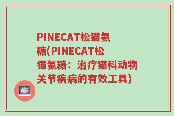 PINECAT松猫氨糖(PINECAT松猫氨糖：治疗猫科动物关节疾病的有效工具)-第1张图片-超越