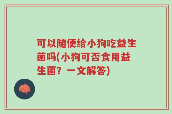 可以随便给小狗吃益生菌吗(小狗可否食用益生菌?一文解答)-第1张图片-超越 可以随便给小狗吃益生菌吗(小狗可否食用益生菌?一文解答)-第1张图片-超越