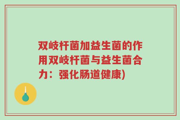 双岐杆菌加益生菌的作用双岐杆菌与益生菌合力：强化肠道健康)-第1张图片-超越