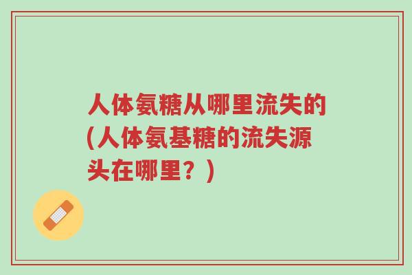 人体氨糖从哪里流失的(人体氨基糖的流失源头在哪里?)-第1张图片-超越 人体氨糖从哪里流失的(人体氨基糖的流失源头在哪里?)-第1张图片-超越