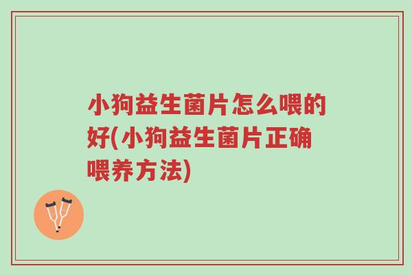 小狗益生菌片怎么喂的好(小狗益生菌片正确喂养方法)-第1张图片-超越 小狗益生菌片怎么喂的好(小狗益生菌片正确喂养方法)-第1张图片-超越