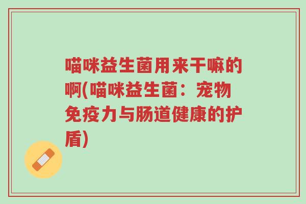 喵咪益生菌用来干嘛的啊(喵咪益生菌:宠物免疫力与肠道健康的护盾)-第1张图片-超越 喵咪益生菌用来干嘛的啊(喵咪益生菌:宠物免疫力与肠道健康的护盾)-第1张图片-超越
