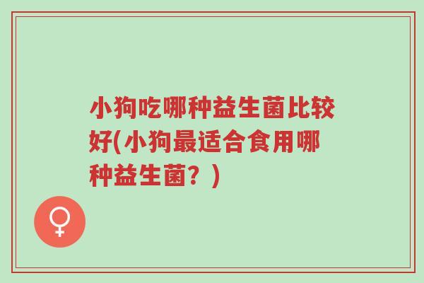 小狗吃哪种益生菌比较好(小狗最适合食用哪种益生菌?)-第1张图片-超越 小狗吃哪种益生菌比较好(小狗最适合食用哪种益生菌?)-第1张图片-超越