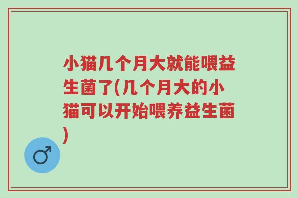 小猫几个月大就能喂益生菌了(几个月大的小猫可以开始喂养益生菌)-第1张图片-超越 小猫几个月大就能喂益生菌了(几个月大的小猫可以开始喂养益生菌)-第1张图片-超越