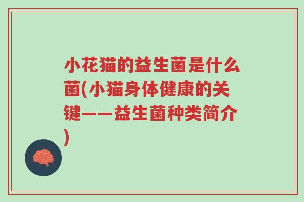 小花猫的益生菌是什么菌(小猫身体健康的关键——益生菌种类简介)-第1张图片-超越 小花猫的益生菌是什么菌(小猫身体健康的关键——益生菌种类简介)-第1张图片-超越