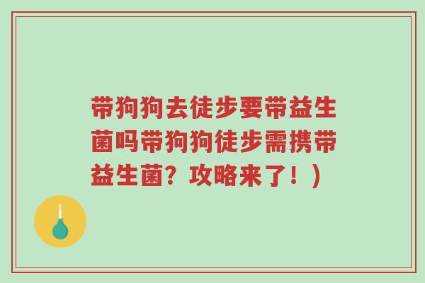 带狗狗去徒步要带益生菌吗带狗狗徒步需携带益生菌?攻略来了!)-第1张图片-超越 带狗狗去徒步要带益生菌吗带狗狗徒步需携带益生菌?攻略来了!)-第1张图片-超越