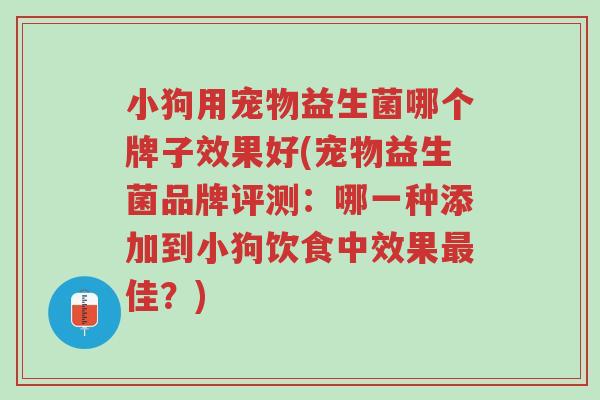 小狗用宠物益生菌哪个牌子效果好(宠物益生菌品牌评测：哪一种添加到小狗饮食中效果最佳？)-第1张图片-超越