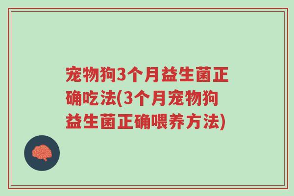 宠物狗3个月益生菌正确吃法(3个月宠物狗益生菌正确喂养方法)-第1张图片-超越 宠物狗3个月益生菌正确吃法(3个月宠物狗益生菌正确喂养方法)-第1张图片-超越