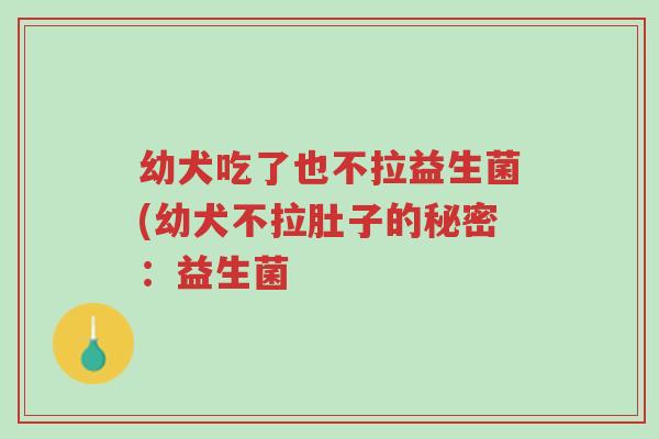 幼犬吃了也不拉益生菌(幼犬不拉肚子的秘密：益生菌-第1张图片-超越