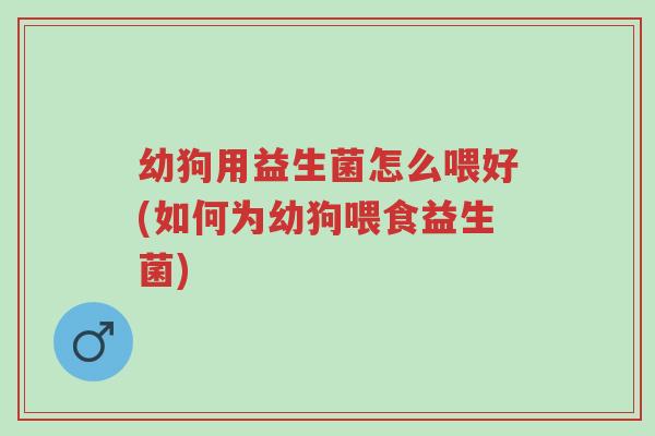 幼狗用益生菌怎么喂好(如何为幼狗喂食益生菌)-第1张图片-超越 幼狗用益生菌怎么喂好(如何为幼狗喂食益生菌)-第1张图片-超越