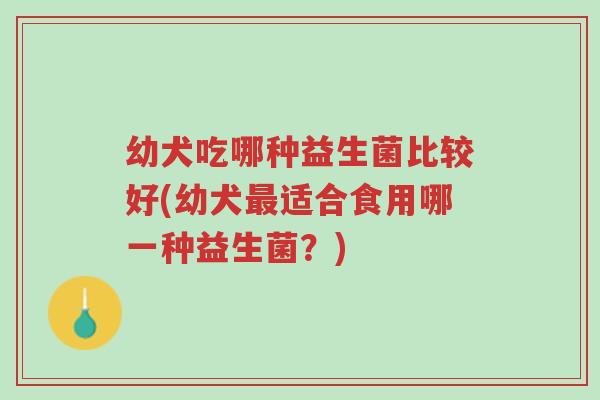 幼犬吃哪种益生菌比较好(幼犬最适合食用哪一种益生菌?)-第1张图片-超越 幼犬吃哪种益生菌比较好(幼犬最适合食用哪一种益生菌?)-第1张图片-超越