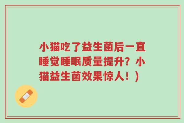 小猫吃了益生菌后一直睡觉睡眠质量提升?小猫益生菌效果惊人!)-第1张图片-超越 小猫吃了益生菌后一直睡觉睡眠质量提升?小猫益生菌效果惊人!)-第1张图片-超越