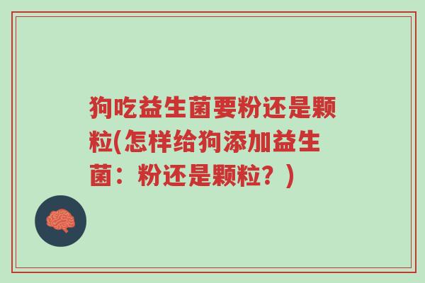 狗吃益生菌要粉还是颗粒(怎样给狗添加益生菌:粉还是颗粒?)-第1张图片-超越 狗吃益生菌要粉还是颗粒(怎样给狗添加益生菌:粉还是颗粒?)-第1张图片-超越