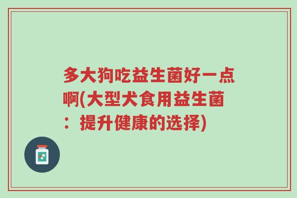 多大狗吃益生菌好一点啊(大型犬食用益生菌:提升健康的选择)-第1张图片-超越 多大狗吃益生菌好一点啊(大型犬食用益生菌:提升健康的选择)-第1张图片-超越