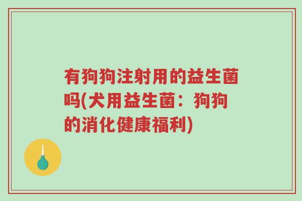 有狗狗注射用的益生菌吗(犬用益生菌：狗狗的消化健康福利)-第1张图片-超越