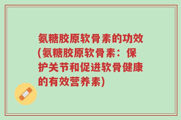 氨糖胶原软骨素的功效(氨糖胶原软骨素:保护关节和促进软骨健康的有效营养素)-第1张图片-超越 氨糖胶原软骨素的功效(氨糖胶原软骨素:保护关节和促进软骨健康的有效营养素)-第1张图片-超越