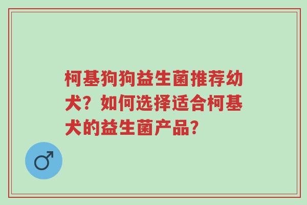 柯基狗狗益生菌推荐幼犬?如何选择适合柯基犬的益生菌产品?-第1张图片-超越 柯基狗狗益生菌推荐幼犬?如何选择适合柯基犬的益生菌产品?-第1张图片-超越