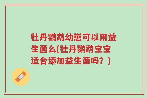 牡丹鹦鹉幼崽可以用益生菌么(牡丹鹦鹉宝宝适合添加益生菌吗?)-第1张图片-超越 牡丹鹦鹉幼崽可以用益生菌么(牡丹鹦鹉宝宝适合添加益生菌吗?)-第1张图片-超越